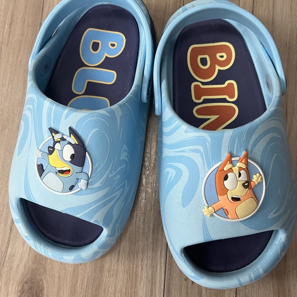 Kids Blue Character Slides Sandals - Bluey Design